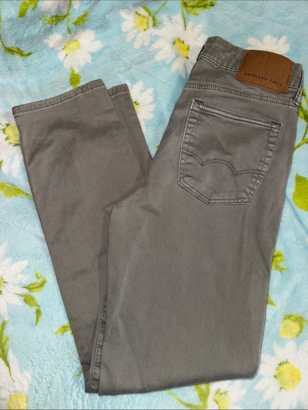 American Eagle Outfitters Men’s Gray Slim pants